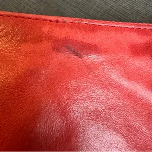 Pink Coach Poppy Leather Crossbody Mini Bag thumbnail 9