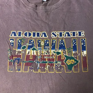 Brown Hawaii Graphic T-Shirt size XL thumbnail 2