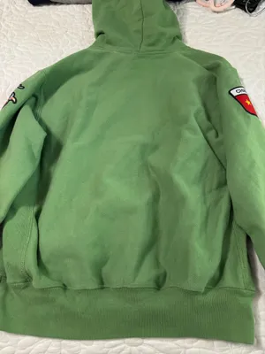 Champion Hoodie Sweatshirtgreen thumbnail 2