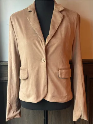 Sincerely Jules Suede One-Button Blazer in Light Brown thumbnail 1