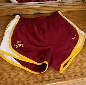 Nike Dri-Fit Shorts thumbnail 1