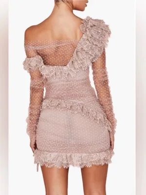 NEW House of CB Sorrel Tulle Asymmetric Minidress thumbnail 5
