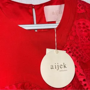 Revolve Aijek Mae Ruffled Lace Mini Dress‎ in Rouge NWT thumbnail 6