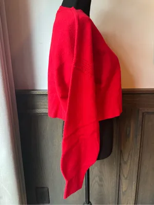 wild fable Bright Red Cropped Crewneck Sweater thumbnail 4