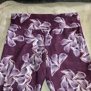 🔹4 for $30 C9 by Champion Floral Crops, Large thumbnail 2