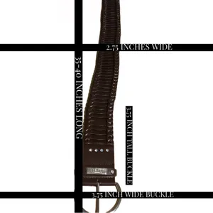 Guess Dark Brown Thick Faux Leather Statement Belt W/Rhinestone Accents (L) thumbnail 13