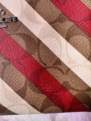 Coach Diagonal Stripe Signature Wristlet - Red, Brown, Cream thumbnail 6