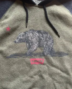 Hoodie thumbnail 2