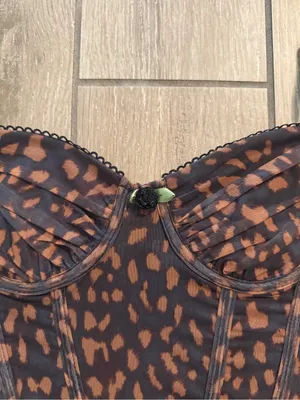 Leopard Print Bustier Corset Top thumbnail 2