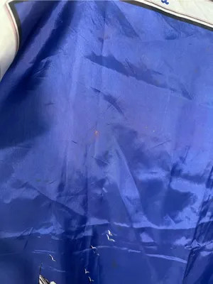 Song of Norway Royal Caribbean Cruise Blue and White Scarf GUC thumbnail 6