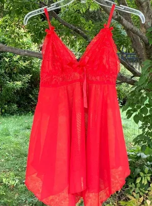 Source Unknown Red lace lingerie, M thumbnail 1