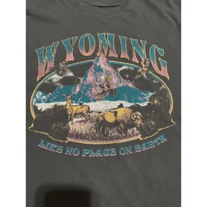 Mighty‎ Fine Wyoming Graphic T-Shirt Womens Medium Gray Souvenir Bison Mountain thumbnail 2