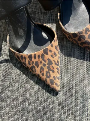 Nordstrom Leopard Pointed Toe Slingback Mules - Black & Brown thumbnail 4