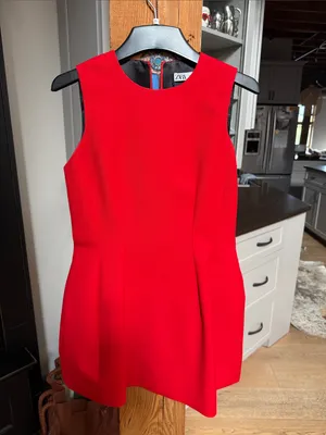 ZARA Bright Red Sleeveless Dress thumbnail 6