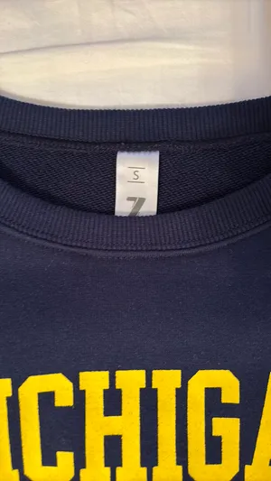 University of Michigan Cropped Sweatshirt thumbnail 3