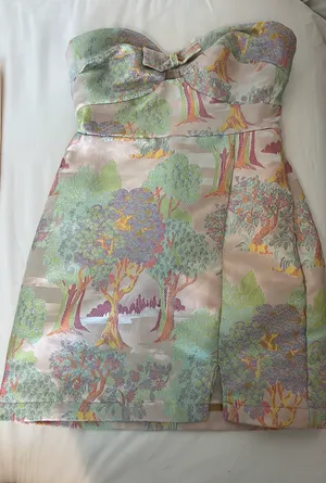 Anthropologie Dress thumbnail 6