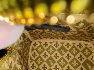 Loungefly The Princess & The Frog Princess Tiana Golden Mini Backpack and Wallet thumbnail 6