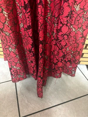 Ellie Wilde mon Cheri red and tan lace gown size 4 thumbnail 12