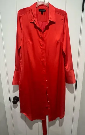 Banana Republic Satin Shirt Dress thumbnail 1