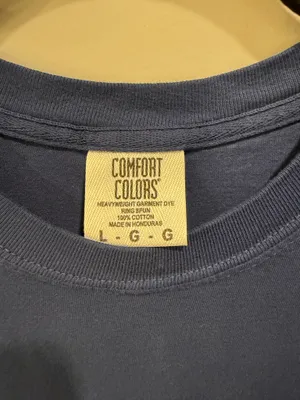 Comfort Colors Valdosta State University 2025 Panhellenic Showcase Short Sleeve Pocket Tee Blue thumbnail 4