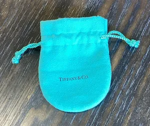 Tiffany & Co. Turquoise Jewelry Pouch thumbnail 1