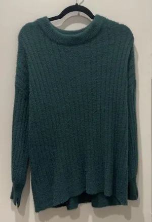 Aerie Sweatshirt thumbnail 1