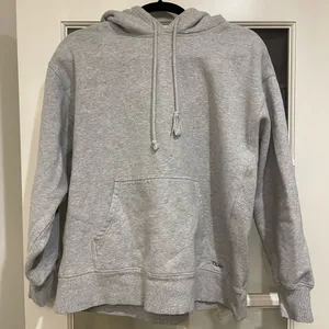 Aritzia TNA Gray Hoodie and Sweatpants Set thumbnail 2