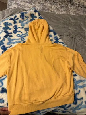 American Eagle Zip-Up Hoodie thumbnail 4