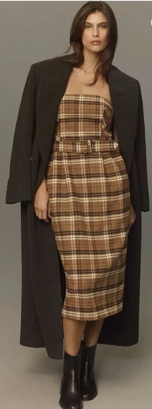 Anthropologie Strapless Belted Midi Dress Size 4 Plaid Fall Academia Preppy thumbnail 1