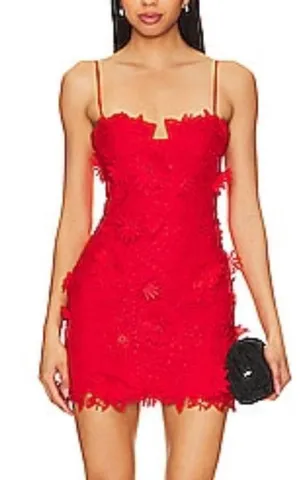 Revolve Red lace spaghetti strap mini dress thumbnail 1