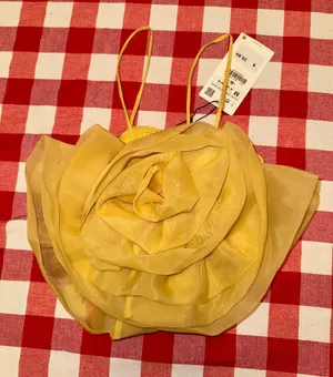 Zara Organza/Rose Top thumbnail 1