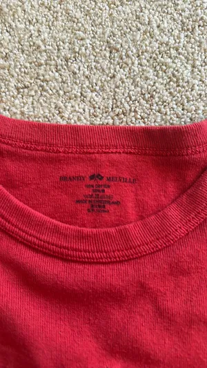 Brandy Melville Red Baby Tee thumbnail 2