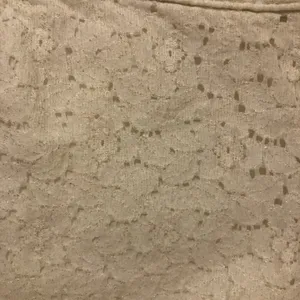 Abercrombie & Fitch lace style cream shorts womens size 25 0 short shorts‎ thumbnail 2