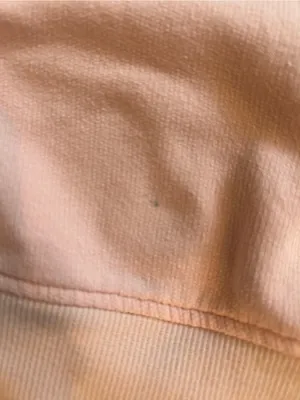UGG Brook Balloon Sleeve Crewneck — Pink thumbnail 6