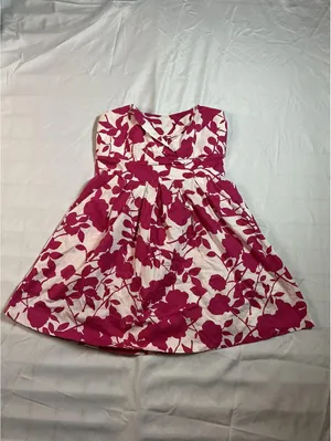 Corey Lynn Pink and White Floral Dress Size 16 thumbnail 4