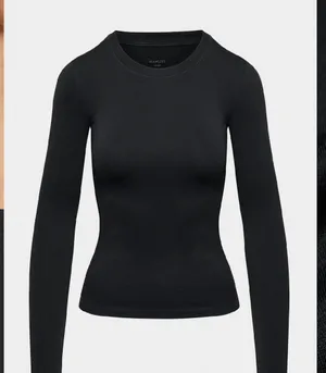 Brown Aritzia Long Sleeve thumbnail 3