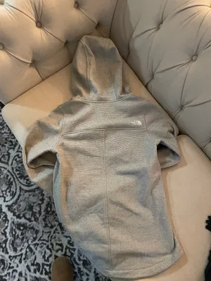 The North Face Hooded Sweatshirt thumbnail 2