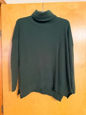 Allison Joy Sweater Turtleneck thumbnail 1