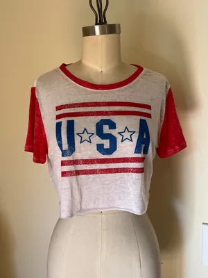 Modern Lux L USA Graphic Sheer Cropped T-Shirt Red White Blue Patriotic Preppy thumbnail 1