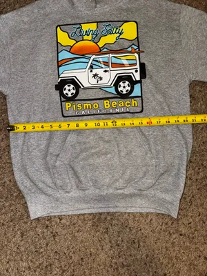 Pismo Beach 'Living Salty' Graphic Hoodie - Gray with Yellow & Blue size Medium thumbnail 6