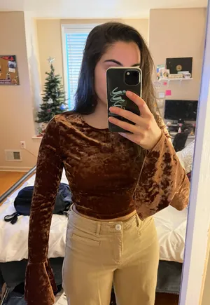 Velvet crop Top With Bell Sleeves thumbnail 1