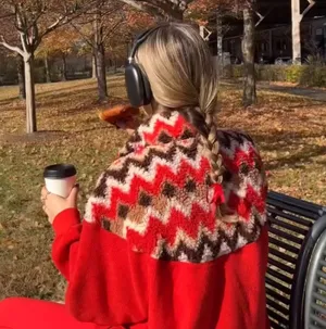 Aerie Red Half Zip Sweater thumbnail 1