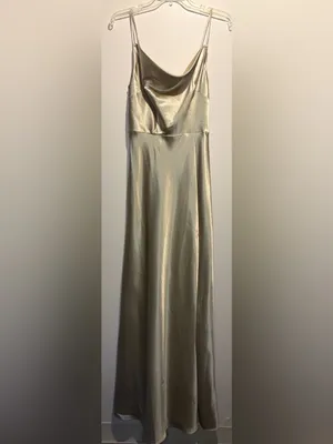 Birdy Grey NWT Lisa Long Shiny Satin Dress Neutral Champagne Size M thumbnail 3