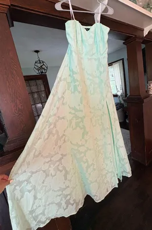 Garden of Romance Mint Green Floral Burnout Strapless Maxi Dress thumbnail 1
