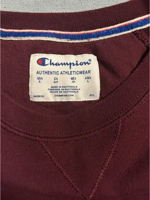 Champion Sweatshirt Crewneck thumbnail 2