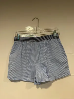 Light Blue Striped Pink rose Women’s Boxer Shorts thumbnail 4