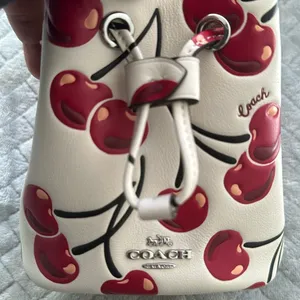 Coach Drawstring Wristlet With Cherry Print - Novelty Leather/Silver/Chalk Multi thumbnail 5