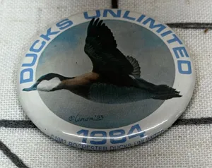 Ducks Unlimited Pinback Button 2.25" Blue 1984 Rochester Wildlife Art Caron 83 thumbnail 1