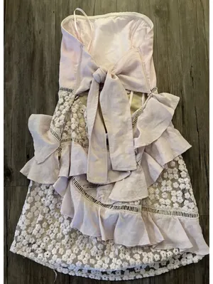 Saints + Secrets Pink Floral Lace Ruffle BowTie Mini Dress M thumbnail 1