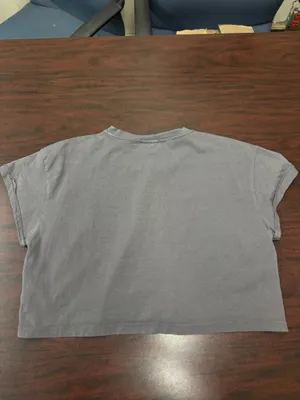 Gymshark Gray Short Sleeve Athletic Crop Top Size X-Large thumbnail 2